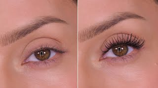 How To Make Your Eyelashes Look Longer With Mascara  Shonagh Scott [upl. by Lebiralc]