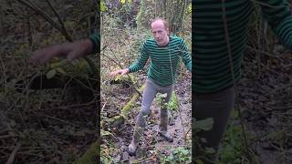 Woods Reduce Erosion permaculture nativetrees forest ideas treeplanting adventure motivation [upl. by Llevrac]