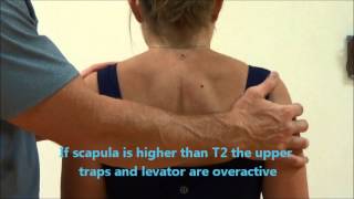 Module 2 Postural Assessment Shoulder [upl. by Lienahs299]