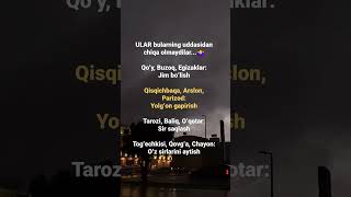 ULAR bularning uddasidan chiqa olmaydilar🤷‍♀ shortvideo automobile psixolog weather [upl. by Accever]