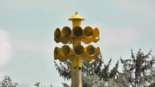 Straughn IN Federal Signal 2T22 Siren Test  82517 [upl. by Merl]