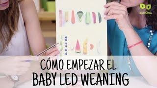 Baby Led Weaning Cómo empezar la alimentación complementaria con el método BLW [upl. by Simsar399]