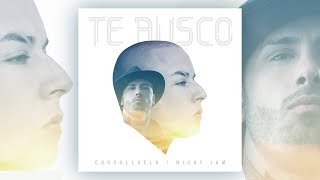 Cosculluela Nicky Jam  Te Busco Audio Oficial 2016 [upl. by Eckblad]