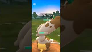 GALAR CUP SHOWDOWN DIGGERSBY BRONZOR SHUCKLE BATTLE  POKEMON GO PVP [upl. by Leber557]