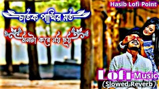 চাতক পাখির মত মনটা করে নয় ছয়  Chatok Pakir Moto Monta Kore Noi Soi  Slowed Lofi Music lofi [upl. by Dominus320]