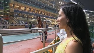 Horse Racing at the Hong Kong Jockey Club Happy Valley [upl. by Rogozen412]