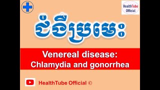 ជំងឺប្រមេះ l Venereal disease Chlamydia and gonorrhea l សុខភាពផ្លូវភេទ l HealthTube Official [upl. by Correna]