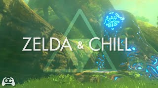 Zelda amp Chill [upl. by Trevorr]