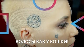 ВОЛОСЫ КАК У КОШКИ RIBBED HAIR 😼 [upl. by Allimak]