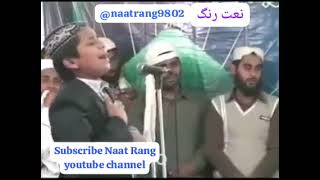 saaye meiN tumhaare haiN  naat naatrang naatepaak WhatsApp shorts naat2024 نعت نعتپاک [upl. by Telrahc163]