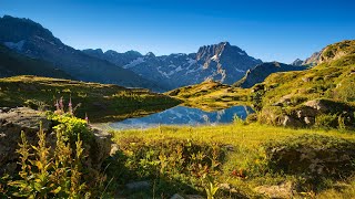 Wildlife Wonders In The French Countryside [upl. by Iuqcaj]