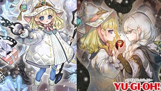 White Woods Deck Theory  Spicy Tech You Havent Seen [upl. by Siddon498]