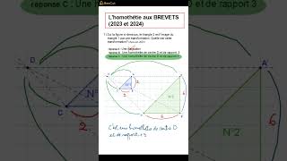 DNB 2024 Lhomothétie au BREVET [upl. by Enel]