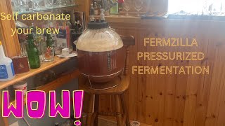 FERMZILLA 30ltr  pressurised fermentation made easy  Orgasm extract IPA ￼ [upl. by Leyla]