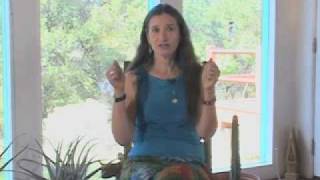 Shamanic Studies Basic Shamanic Journeying by Sandra Ingerman [upl. by Helge262]