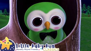 A Wise Old Owl  Little Baby Bum Animal Club  Fun Songs for Kids [upl. by Ledeen]