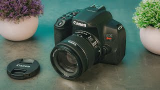 Best DSLR Cameras in 2023 [upl. by Attelrak]