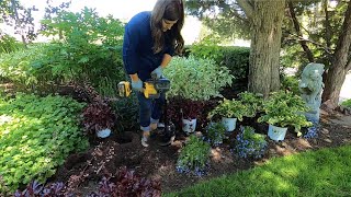 Planting in My Parent’s Garden 🥰🌿 Garden Answer [upl. by Bywoods]