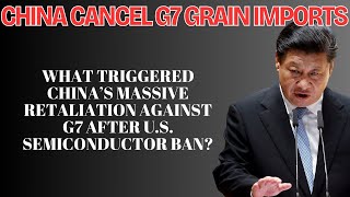 How the US Forced ASML to Target China and Beijings Bold Response by Canceling G7 Grain Imports [upl. by Vigor663]