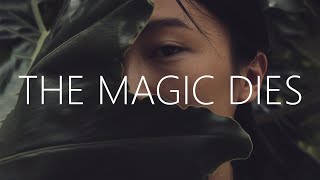 Culture Code amp Neal Datta  When The Magic Dies Lyrics feat Dia Frampton [upl. by Acirahs]