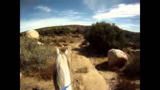 Manzanita Endurance Ride 2012 [upl. by Chick993]