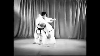 T Suzuki  Wado Ryu Karate Ohyo Gumite No 3 [upl. by Ehman]