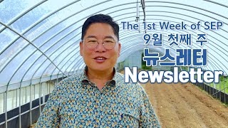 김성은 목사님의 북한사역 소식과 기도 2024년 9월 첫째 주 Newsletter amp prayers for North Korea by Pastor Seungeun Kim [upl. by Nyahs]