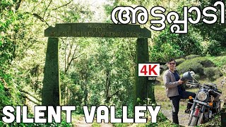 Silent Valley National Park 4K walking Tour Attappadi One Day Trip Forest Safari Palakkad [upl. by Latrell]