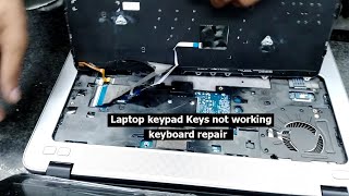 How to fix Laptop keypad Keys not working  Some keys are not working  Laptop keyboard repair [upl. by Leffen]