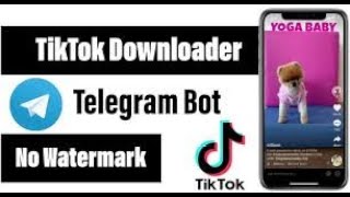 How to Download TikTok amp Snack Video Without Watermark  Telegram Bot Downloader Free Source Code [upl. by Ail]