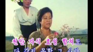 712 내 운명 빛내준 어머니 당의 품 My Destiny is in the bosom of the mother party [upl. by Doi]