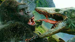 King Kong vs Skullcrawler  Final Fight Scene  Kong Skull Island 2017 Movie Clip HD [upl. by Convery617]