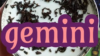 GEMINI WHAT HAPPENS NEXT WILL SHOCK YOU ✨ GET READY FOR SUCCESS  tea leaf reading horoscope ASMR [upl. by Nyvrem]