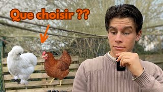 Poules Pondeuses VS Poules d’Ornements que choisir [upl. by Oster489]