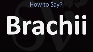 How to Pronounce Brachii CORRECTLY [upl. by Teufert]