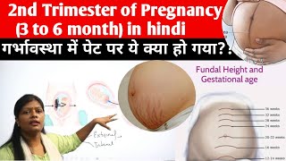 Pregnancy during 2nd trimester  Quickening primary areola fundus height ballottement etc [upl. by Bega]