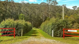 80 Chandlers Lane Wyong Creek  Property Video for Elders Central Coast by Chosen Photography [upl. by Akimet]