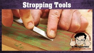 The stropping myth and how to sharpen tools with leather [upl. by Ilarrold]