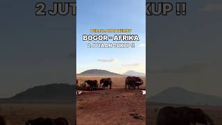 PERJALANAN HEMAT BOGOR KE AFRIKA BUDGET 2 JUTAAN [upl. by Nnyla]