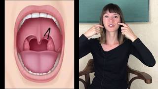 How to Improve the Swallow Reflex [upl. by Phonsa]