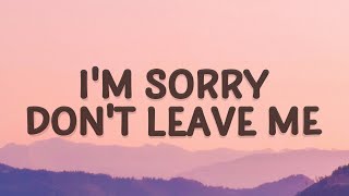 SLANDER  Im sorry dont leave me I want you here with me Lyrics  Love Is Gone [upl. by Yerffoeg]