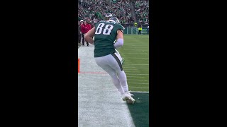 Dallas Goedert catches for a 9yard Touchdown vs Arizona Cardinals [upl. by Gaston26]