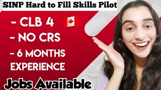 SINP Hard To Fill Skills Pilot  Saskatchewan Canada PR 🇨🇦 [upl. by Ahsiuqram89]