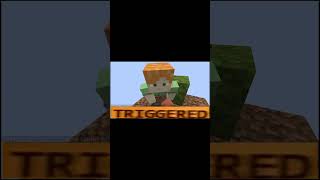 Minecraft chaos minecraft minecraftmemes minecraftoneblock [upl. by Anidam]