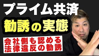 【プライム共済】後編‼️会社も認める⁉️誰も教えてくれない真実‼️ [upl. by Ramirolg722]