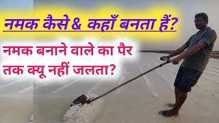 namak kaise banta hai salt making process naturally in India [upl. by Eihcra686]