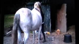 Horse Kicks Girl in Head  More Horse Trainer Scams amp Tricks  Rick Gore Horsemanship [upl. by Cleaves226]