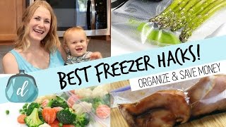 BEST way to freeze food amp organize your deep freezer [upl. by Malim578]