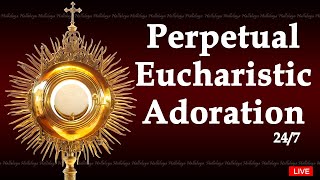 Perpetual Adoration Live  Eucharistic Adoration 247 [upl. by Goldie]