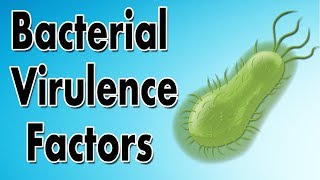 Bacterial Virulence Factors [upl. by Vergos]